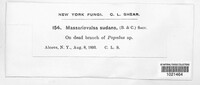 Image Associated With the Occurence